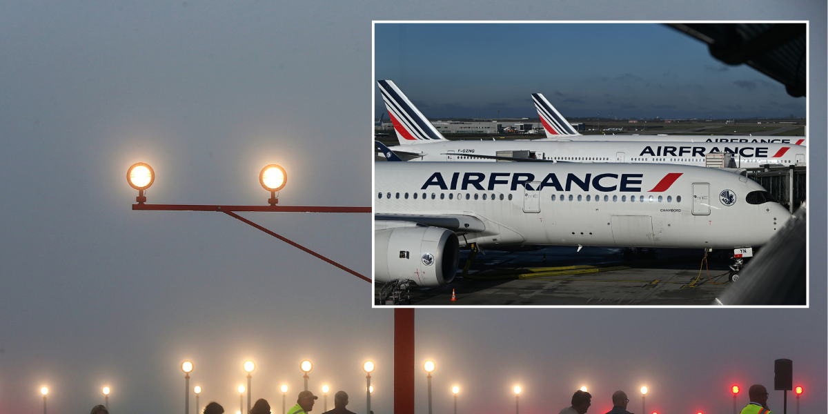 NextImg:Air France passenger dies on board plane from Paris to Boston despite doctor's attempt to save them