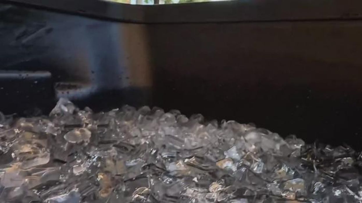 Harry Kane compared to Steve McClaren after 'putting on foreign accent' in Bayern Munich video