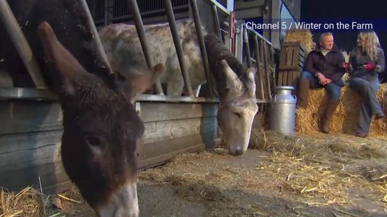 Helen Skelton supports emotional Channel 5 co-star as they fight tears over heartbreaking family loss