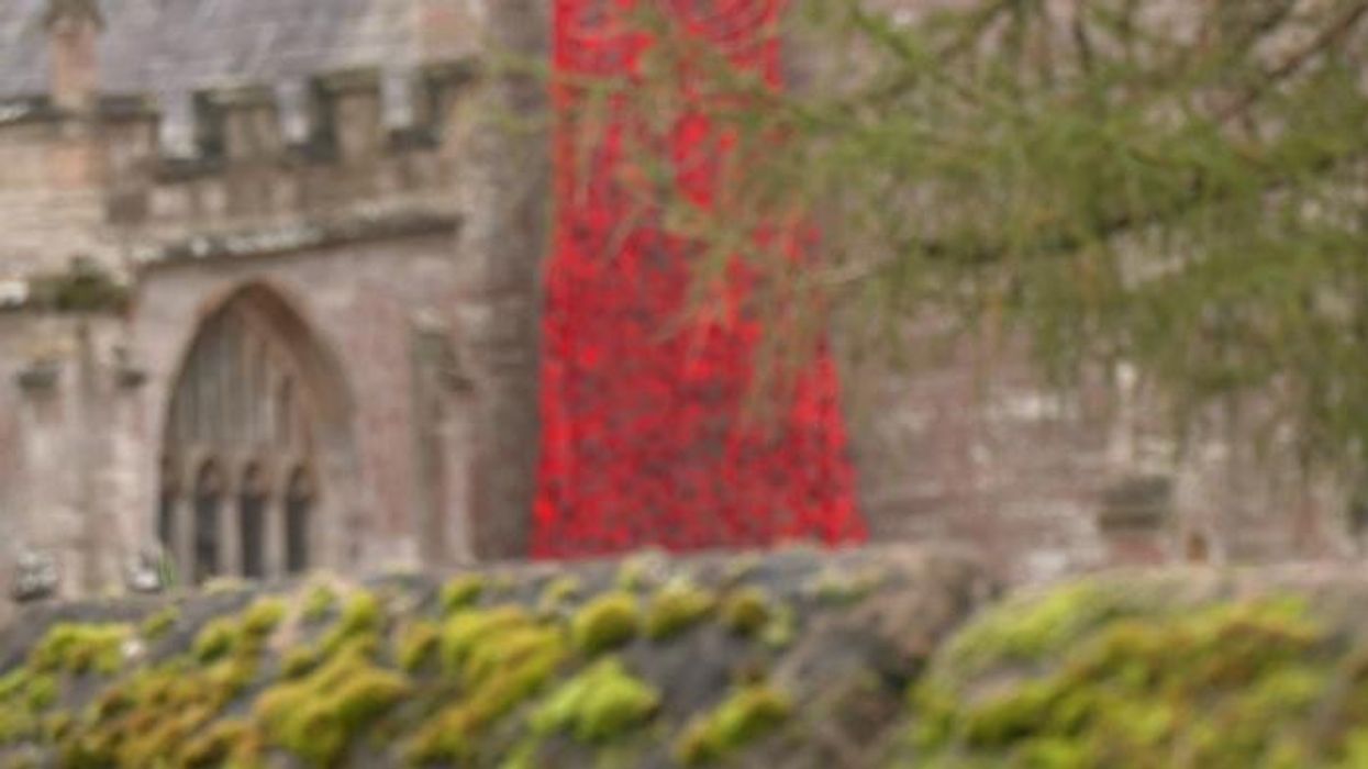 Village 'blown away' as visitors from around UK visit Remembrance Poppy cascade