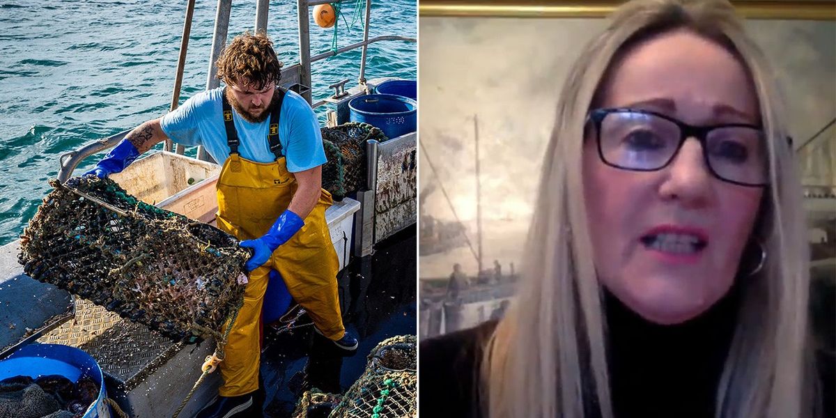 NextImg:Britain's Brexit fisheries deal torn apart on fifth anniversary: 'We got NOTHING'