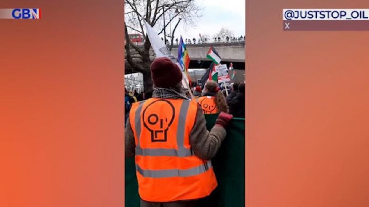 Just Stop Oil protesters now say they want Free Palestine as they link up with Gaza activists