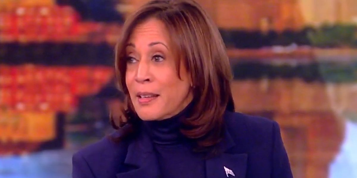 NextImg:Kamala Harris admits she's 'scared as HECK' of Joe Biden losing election