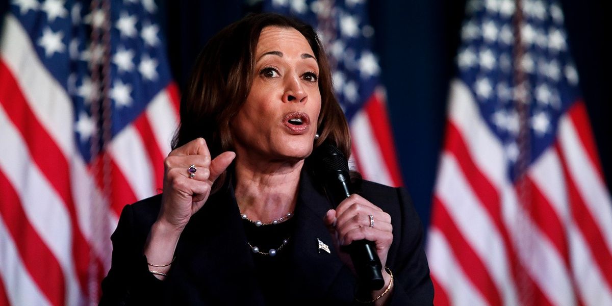 NextImg:Kamala Harris facing 'tough campaign' as Biden health concerns remain: 'A lot of accountability to answer for!'