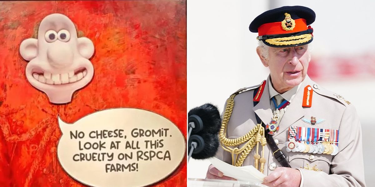 NextImg:King Charles to 'deny protesters the publicity' following portrait attack: 'Focus is on Trooping the Colour'
