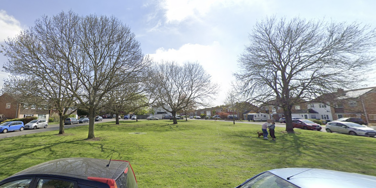 NextImg:Ancient oak trees protected by strict council order set to be ripped down to build concrete building
