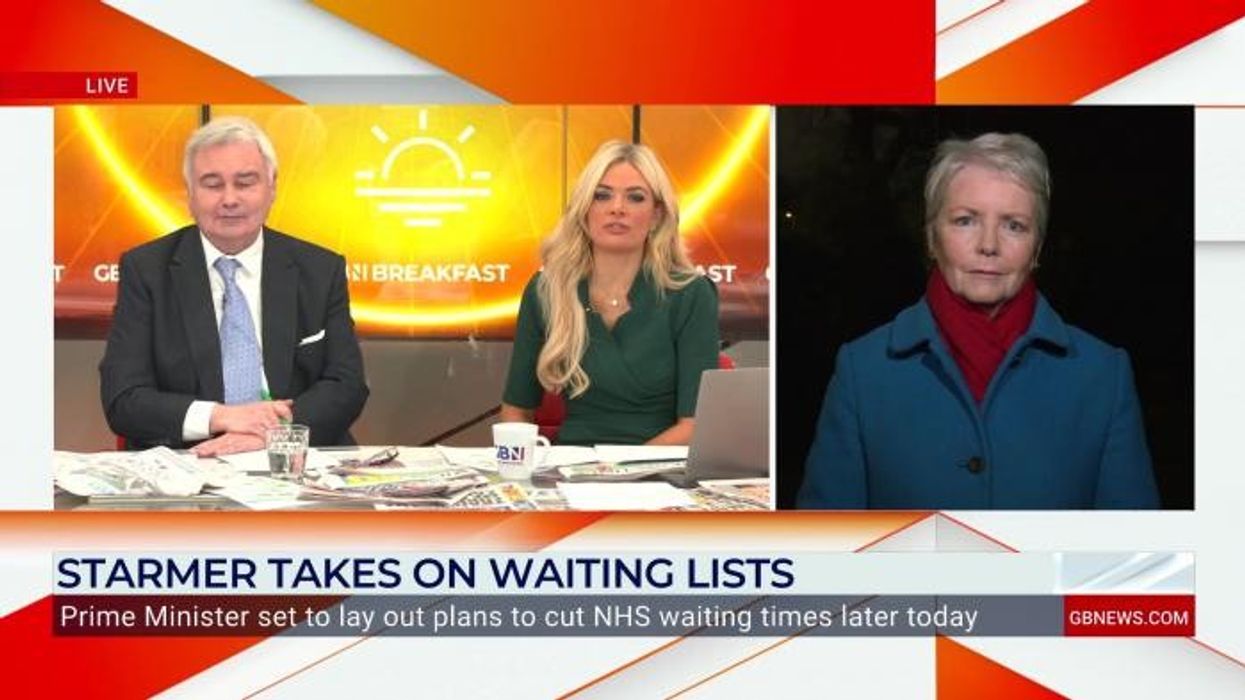 'You WILL give me an answer!' Eamonn Holmes rips into Labour MP over Government's handling of grooming gangs: 'Why are you scared of Musk?'