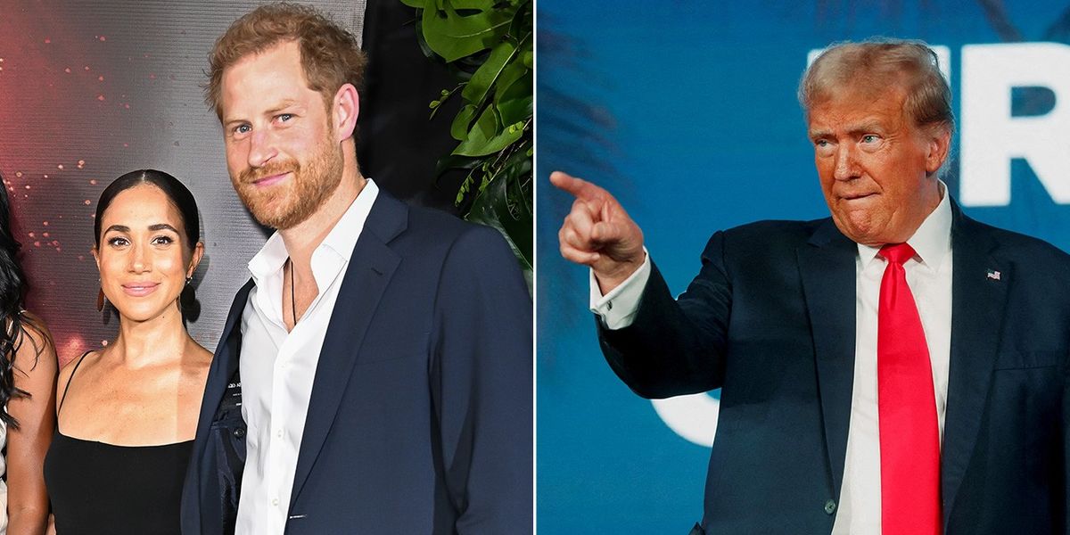 NextImg:'Trump captures public disgust with Harry and Meghan': Lee Cohen gives verdict Sussexes - 'Fed up with betrayal'