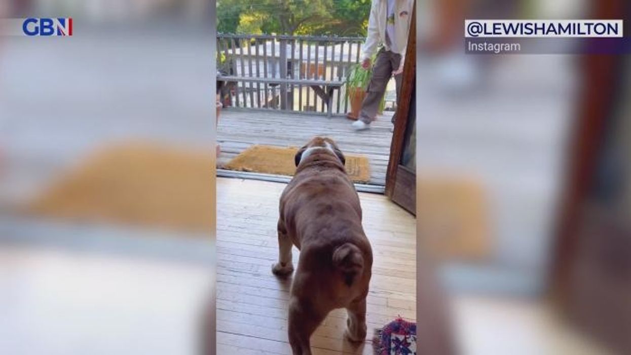 Lewis Hamilton hits back at 'over-egged' controversy ahead of Chinese Grand Prix