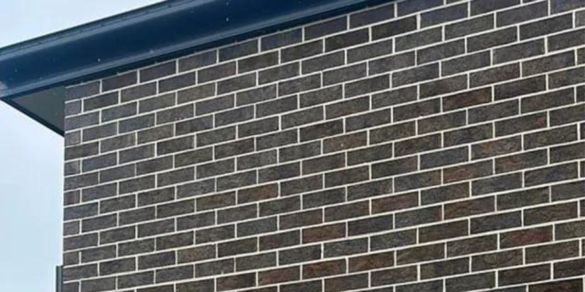 NextImg:Neighbour left furious after house next door builds home ON boundary line