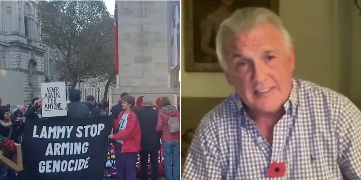NextImg:Youth group blasted for 'disrespectful' pro-Palestine Cenotaph protest on Armistice Day: 'It is nonsense!'