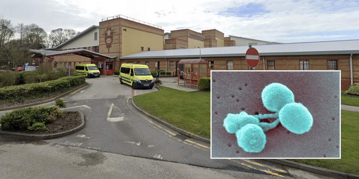NextImg:Girl, 2, died from 'overwhelming sepsis' as inquest hears she would have lived longer had she been given antibiotics sooner