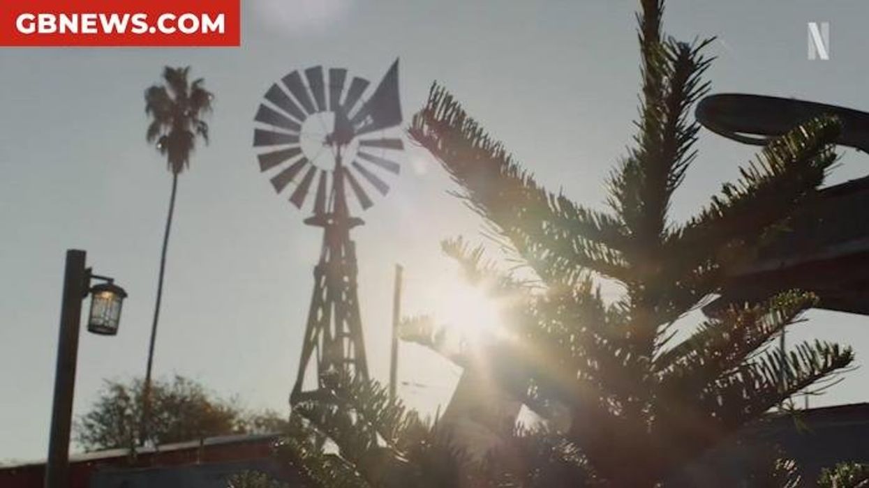 Meghan Markle branded 'Salmonella Sussex' in backlash over hygiene issue