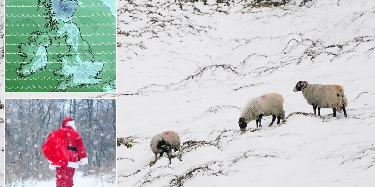 NextImg:Christmas weather forecast: Met Office issues white Christmas update after 'Arctic blast' forecast