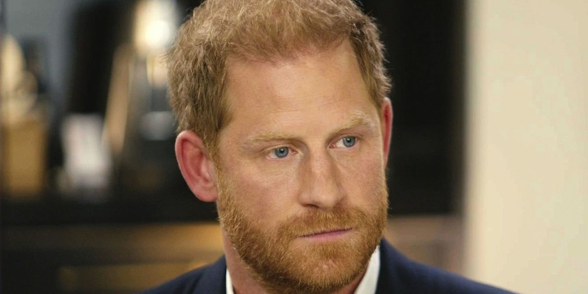NextImg:Prince Harry has made himself 'a target for life' by 'airing his dirty linen' with new documentary - Michael Cole