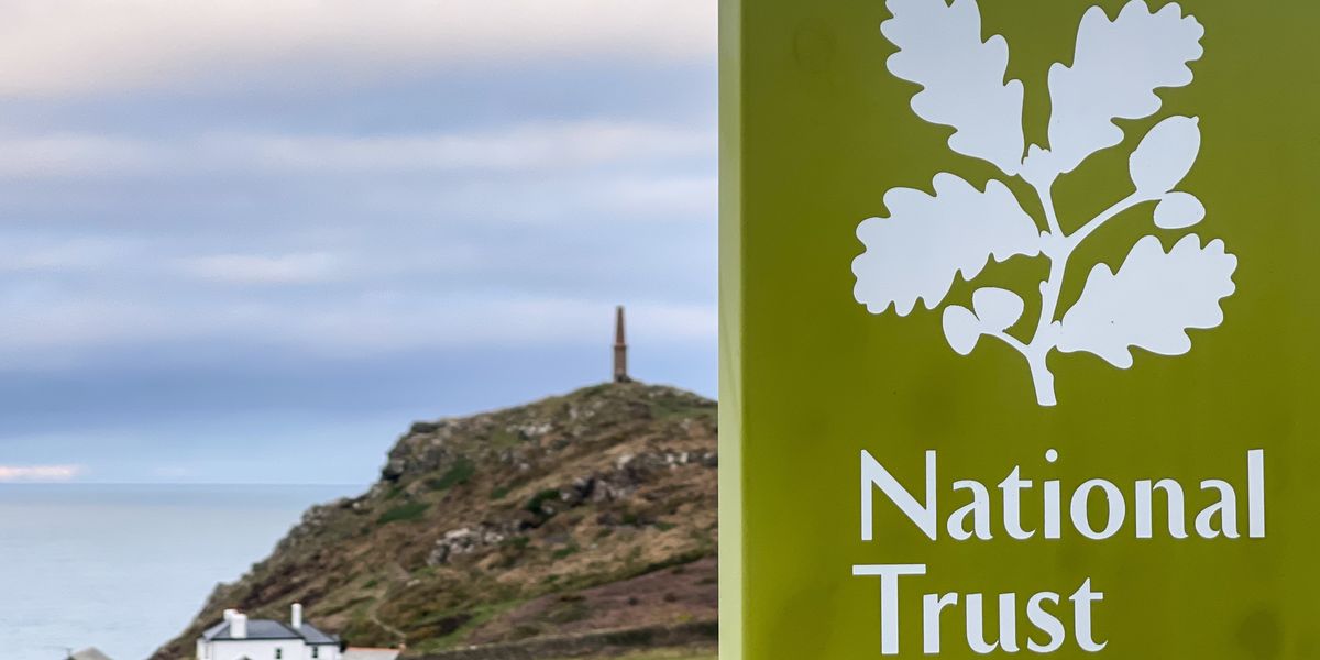NextImg:'Virtue signalling!' National Trust branded 'patronising' after changing ‘ethnic minority’ to ‘global majority’