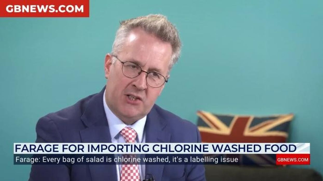 Keir Starmer's 'Project Fear' plot to stop Nigel Farage's Red Wall 'demolition job' - and why it's DOOMED to fail