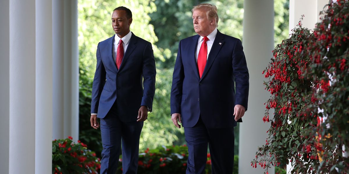NextImg:Tiger Woods in agreement with Rory McIlroy about Donald Trump after PGA and LIV peace talks