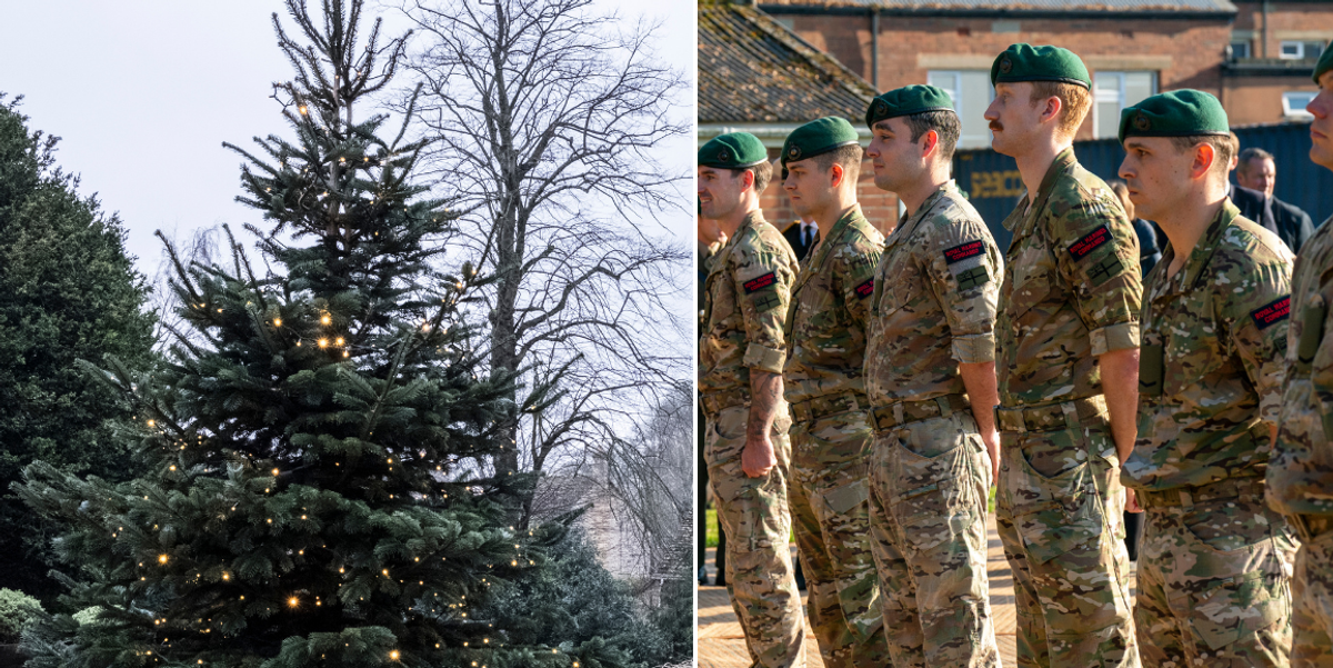 NextImg:Rookies at elite Marines base forced to remove Christmas tree amid health and safety concerns - 'It's ridiculous!'