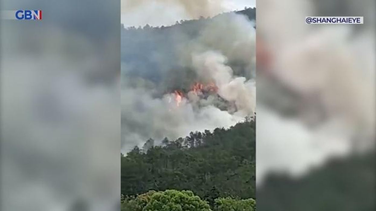 Amelia Earhart's family speaks out for first time since 'plane' discovered