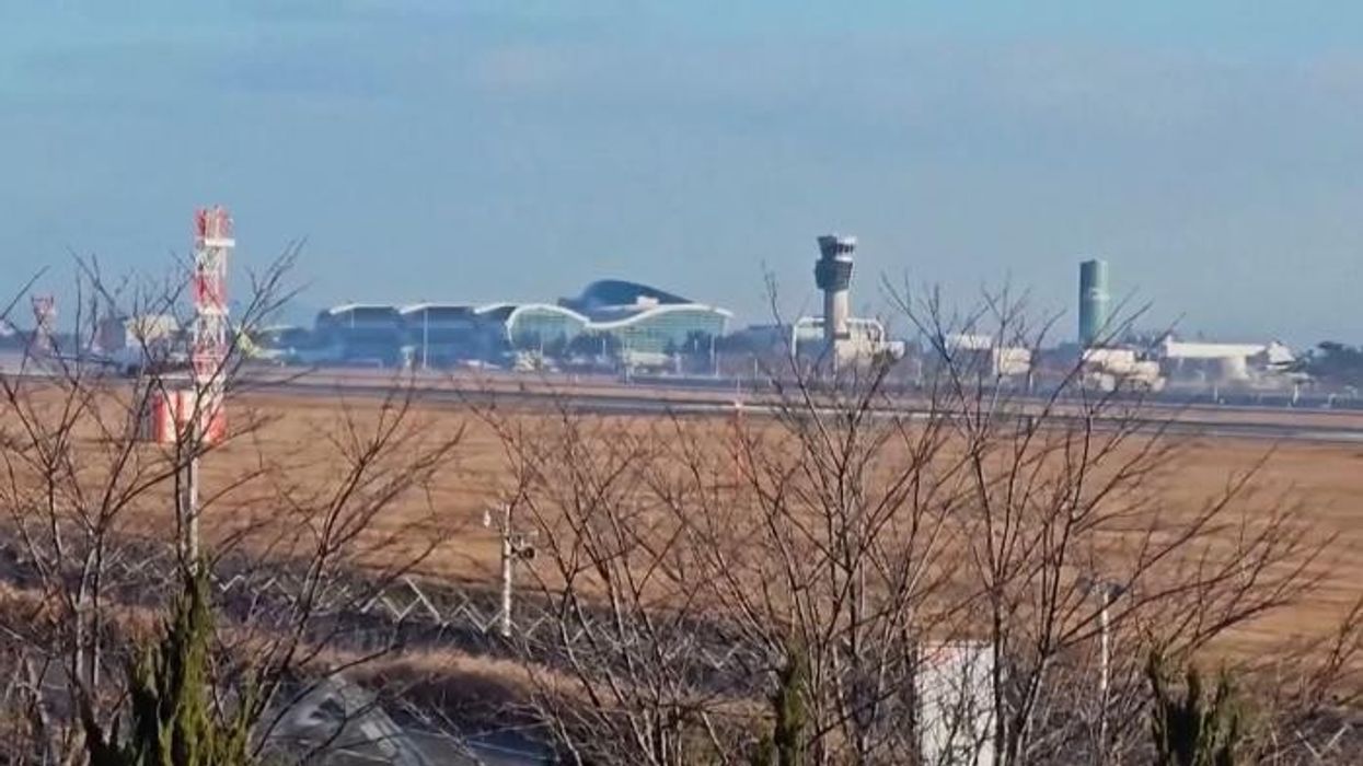 South Korea plane crash kills 179 including boy, 3, after erupting into fireball just minutes after bird strike warning