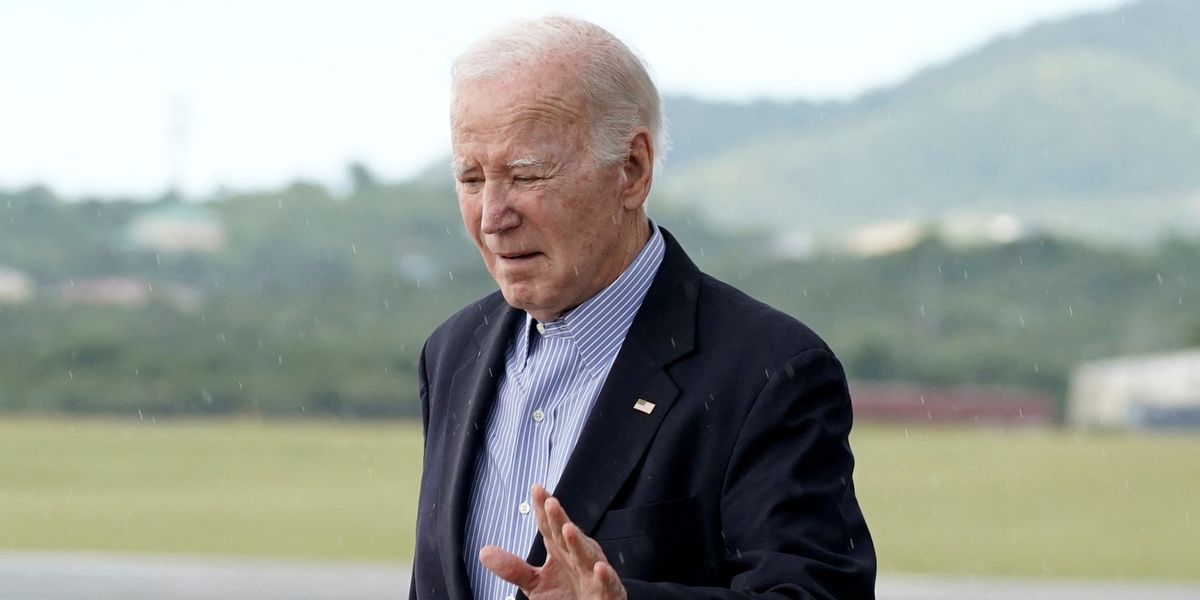 NextImg:Leading Democrat insists Biden's 'mental acuity is GREAT' despite string of recent gaffes