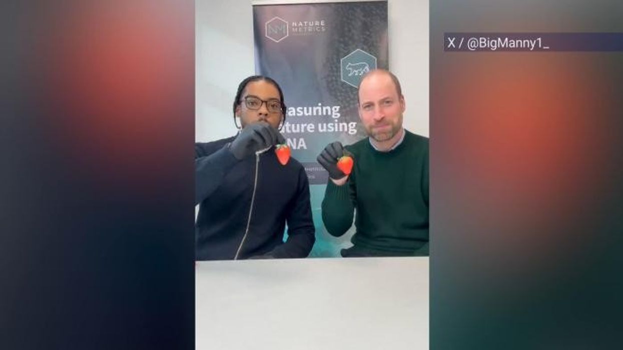 Prince William joins forces with TikTok star as future King sparks fan frenzy