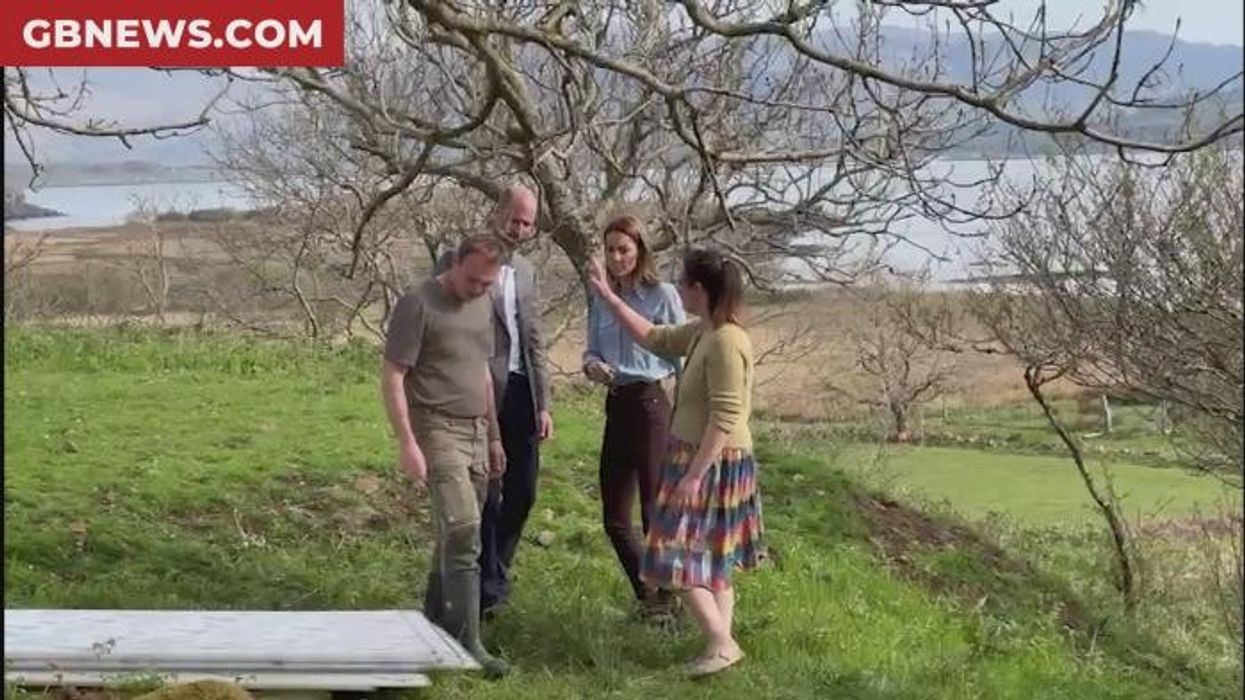 Prince William bumps head into tree as Princess Kate walks off unaware
