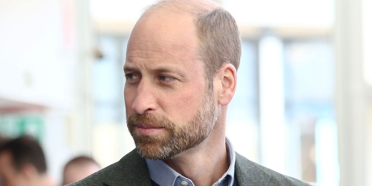 NextImg:Prince William faces fresh setback as Welsh professor exposes major flaw