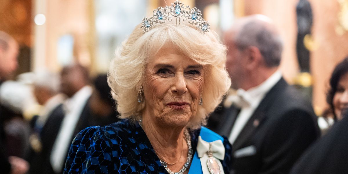NextImg:Queen Camilla health update 'no cause for alarm' as royal set to miss parts of Qatari state visit: 'She's taking it easy'
