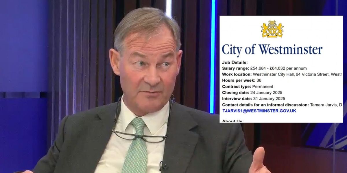 NextImg:Rupert Lowe blasts London council over woke job ad: 'Cancer of DEI runs through Britain!'