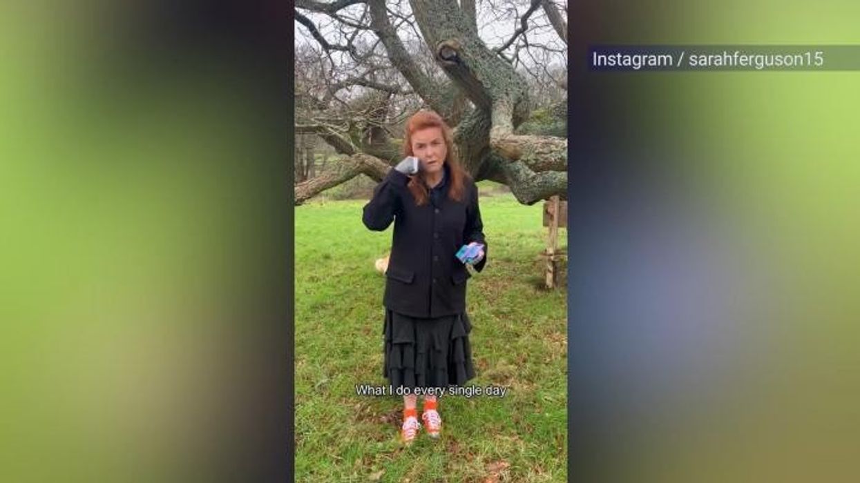 Sarah Ferguson makes social media plug as Prince Andrew suffers financial blow