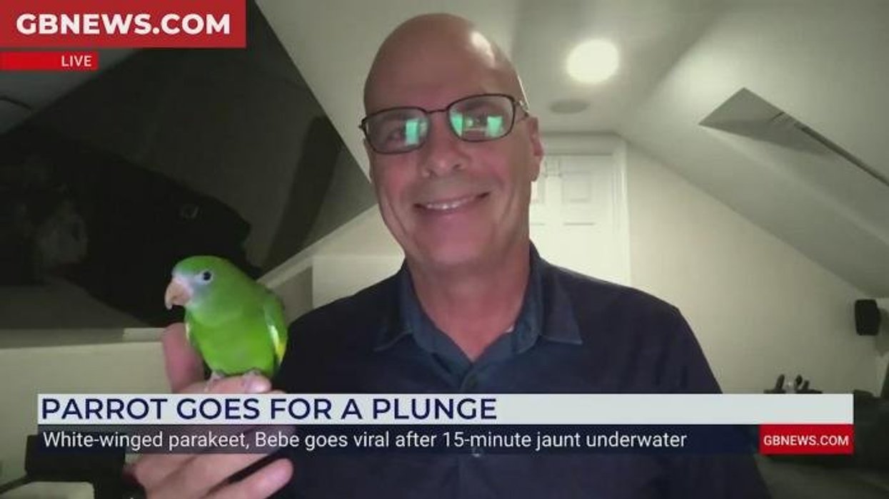 'Totally unexpected!' Owner of viral parrot Bebe speaks to GB News after underwater adventure in custom mini-submarine