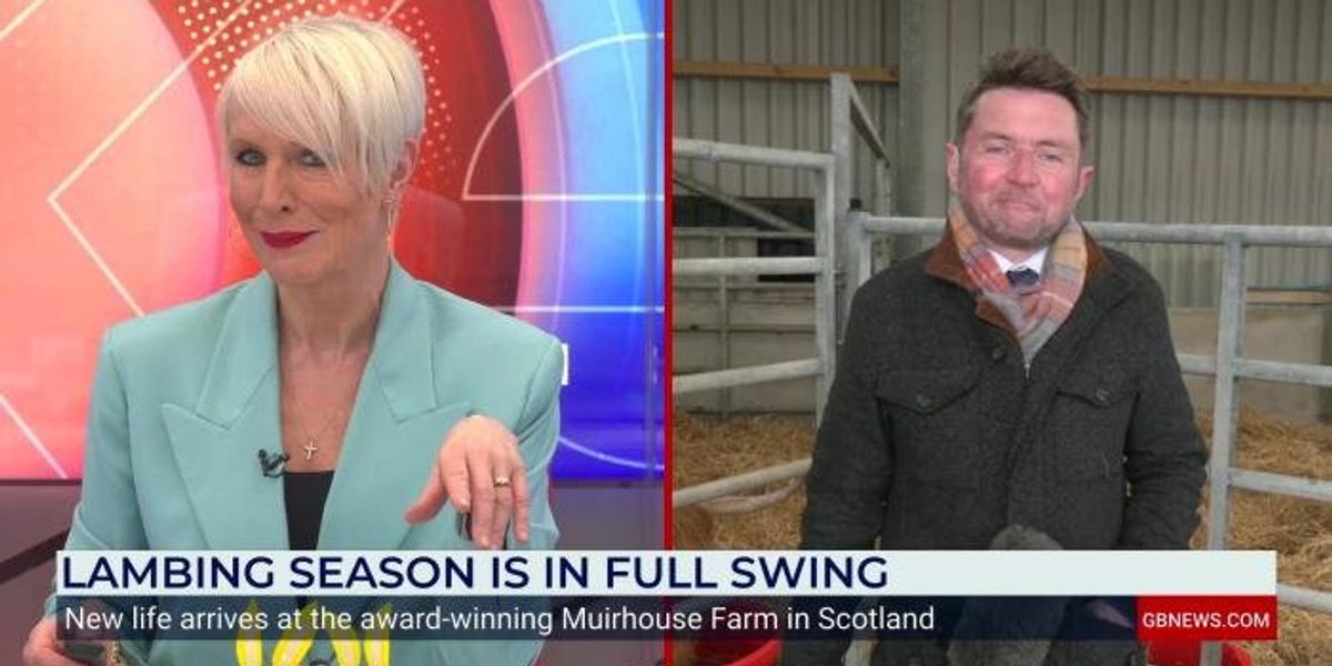 Tony McGuire is joined by Highland Cows Monica and Rua as he visits Muirhouse Farm Tony McGuire is joined by Highland Cows Monica and Rua as he visits Muirhouse Farm