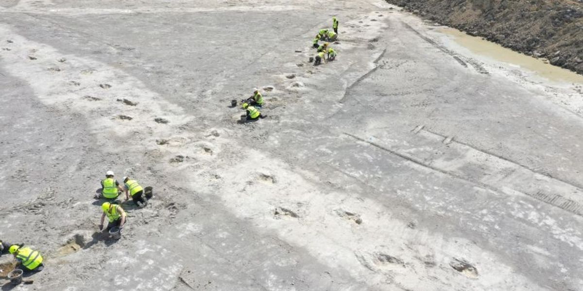 NextImg:'Tingling moment!' 200 dinosaur footprints discovered at Oxfordshire limestone quarry in major breakthrough