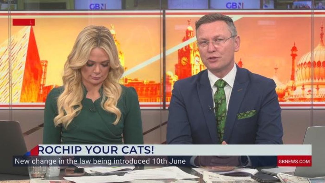Cat owners warned they risk £500 fine unless they take urgent action ahead of law change