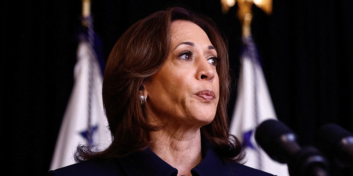 NextImg:Kamala Harris tipped to be 'most dangerous, radical US President in history' ahead of election