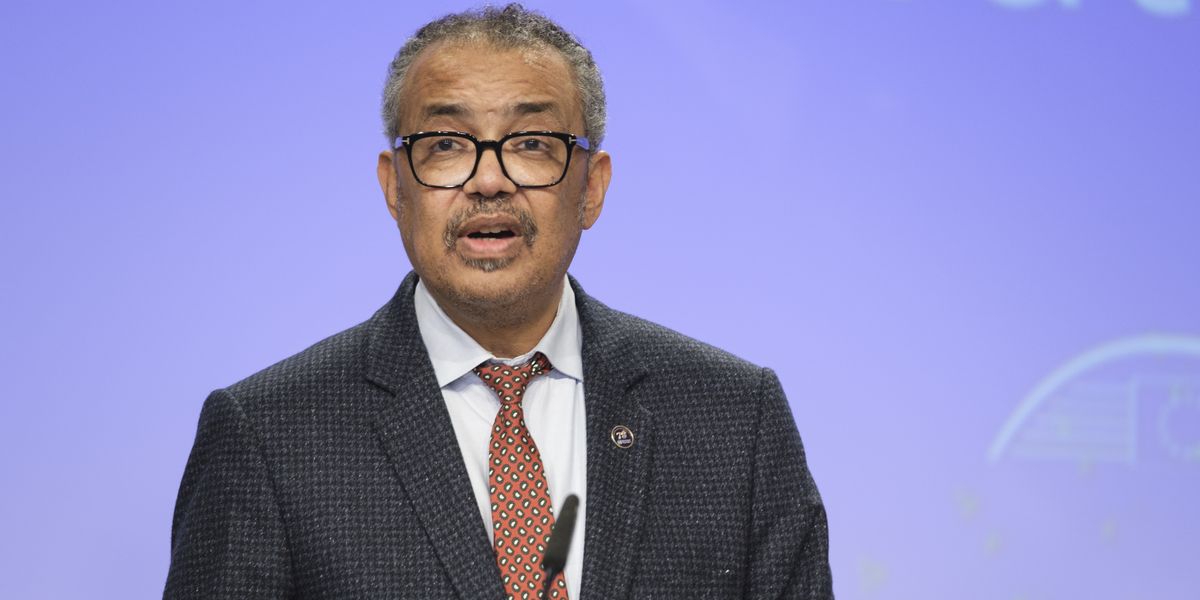 NextImg:WHO rages at 'fake news' as global pandemic treaty faces being rejected