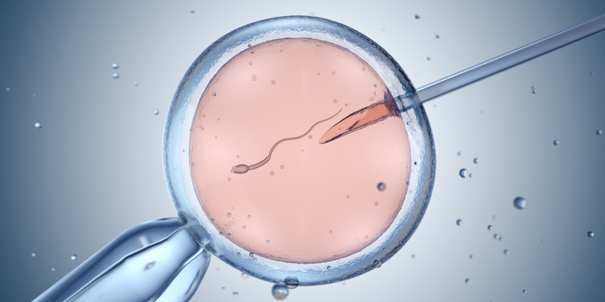 NextImg:Number of single women undergoing IVF triples in a decade as average age drops to youngest ever