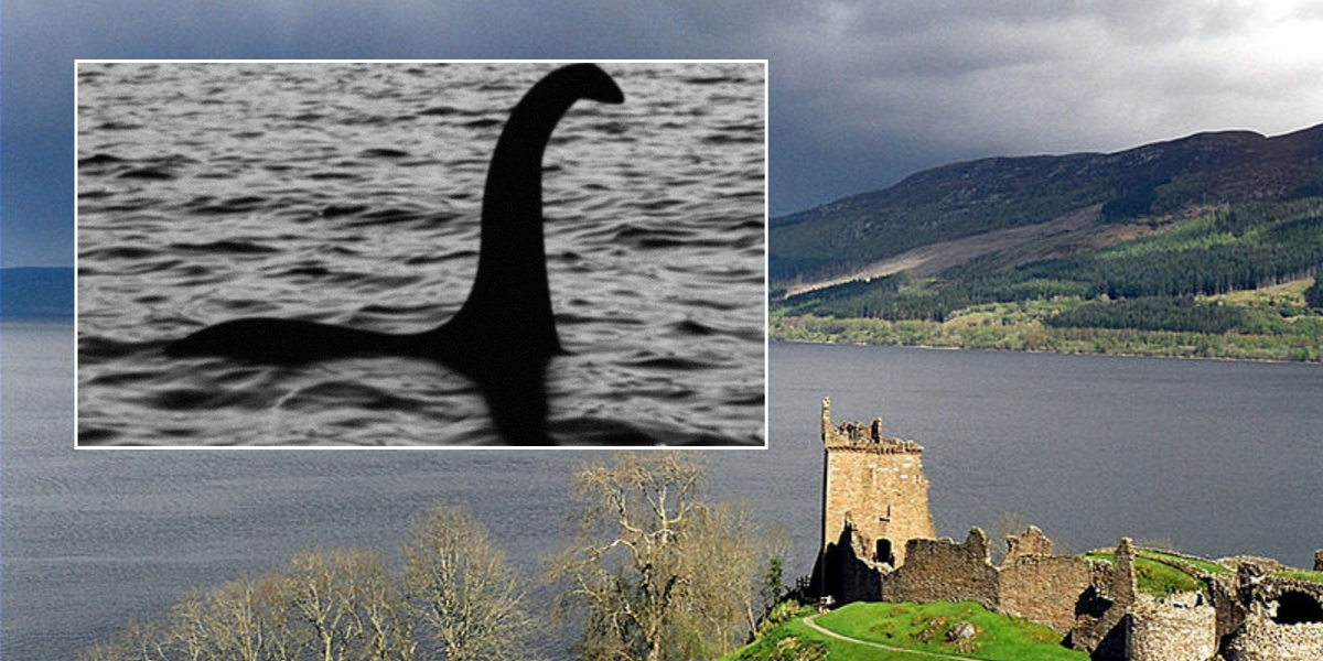 NextImg:Photographer releases secret images of 'Loch Ness Monster' that are 'most compelling pictures yet'