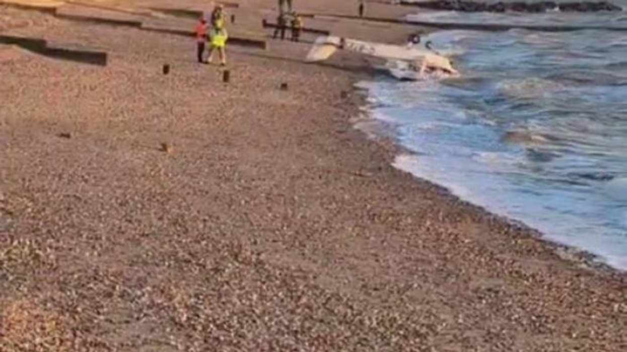 British beachgoers horrified as plane crashes in front of them and pilot 'crawls from wreckage'