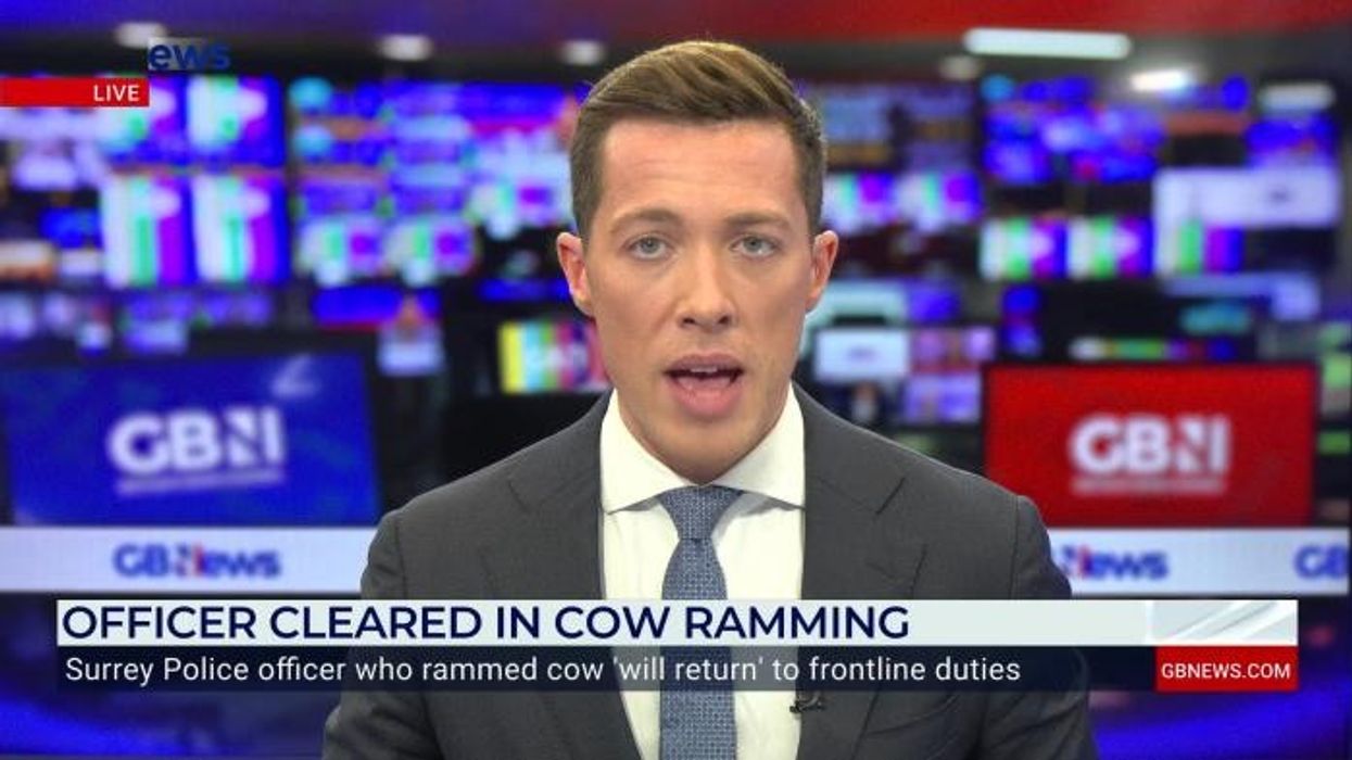 Rampaging bull loose in the Midlands shot dead as police dispatch 'trained farmer' to tackle 'dangerous' animal