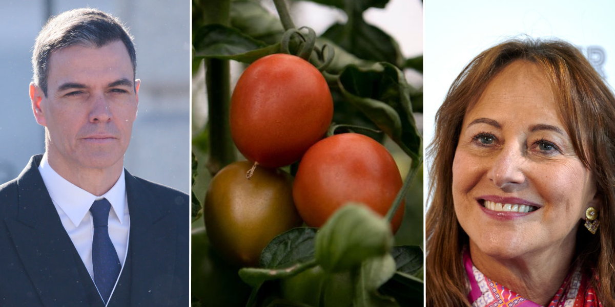 NextImg:Spain fumes over French 'inedible tomatoes' comments as 'tomato war' rages on