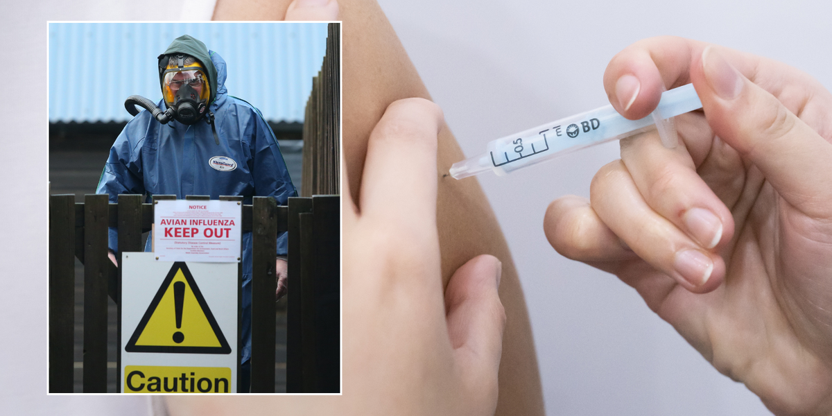 NextImg:Five million vaccines ordered against potential 'next Covid' as Britain nears five-year anniversary of pandemic