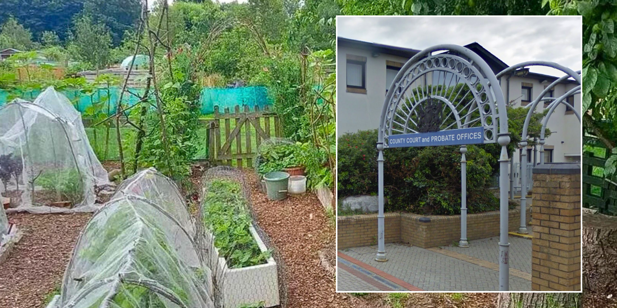 NextImg:Neighbour row explodes as homeowners told to 'fight it out in the ring' amid legal dispute over allotments
