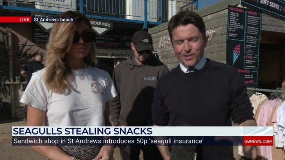 Britons told to wave arms and 'draw googly eyes on takeaway boxes' to deter seagulls