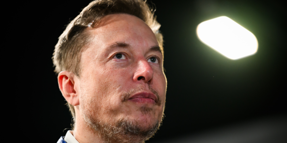 NextImg:Elon Musk vows to fund legal challenge against Irish hate speech law: 'A massive attack on freedom of expression!'