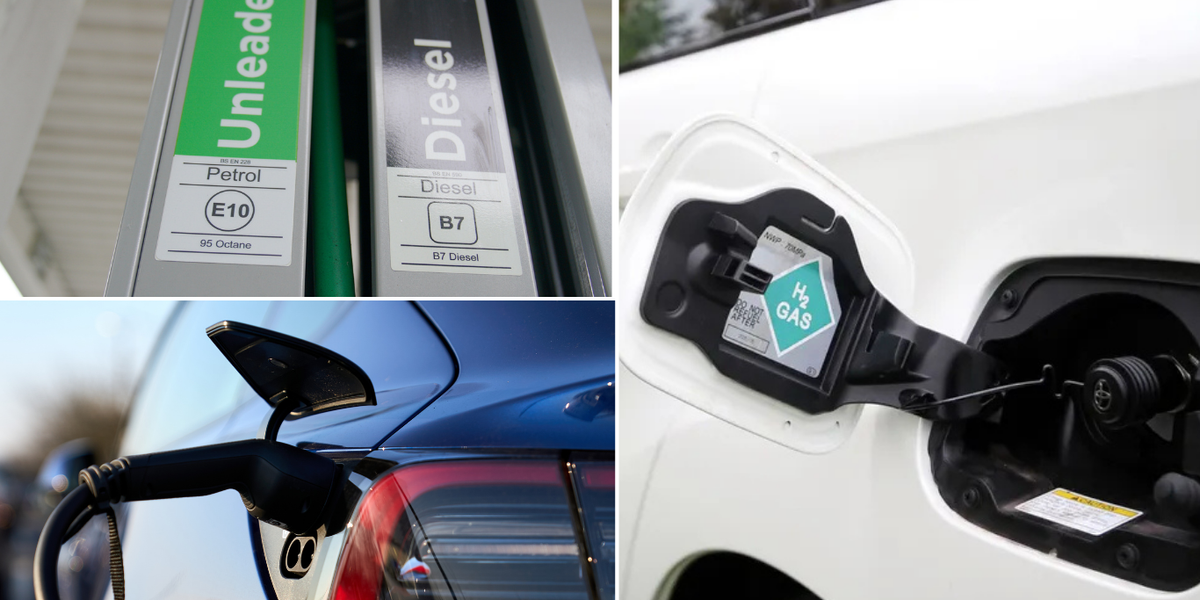 NextImg:UK urged to move away from biofuels and only focus on electric as alternative to petrol and diesel
