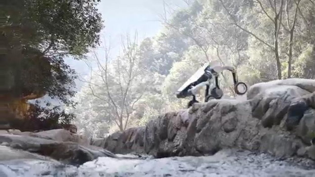 Watch as Chinese robot dog shows off skills in new footage