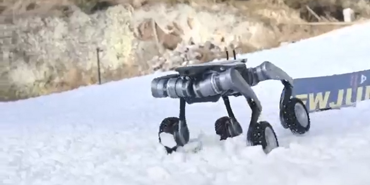 NextImg:Watch as Chinese robot dog shows off skills in new footage
